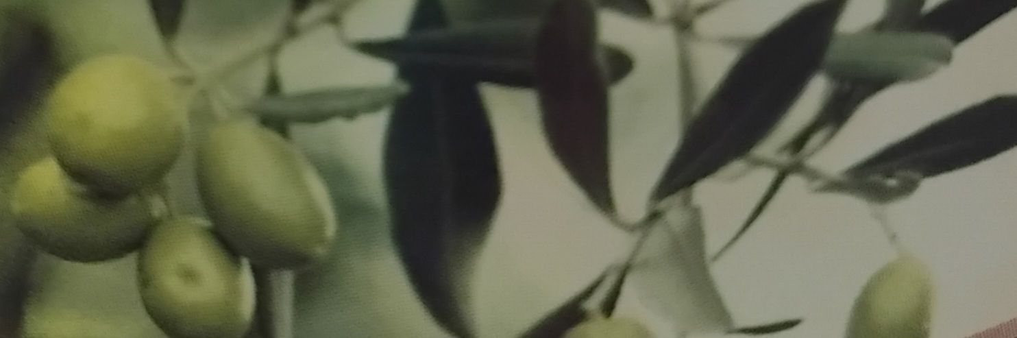 <br>